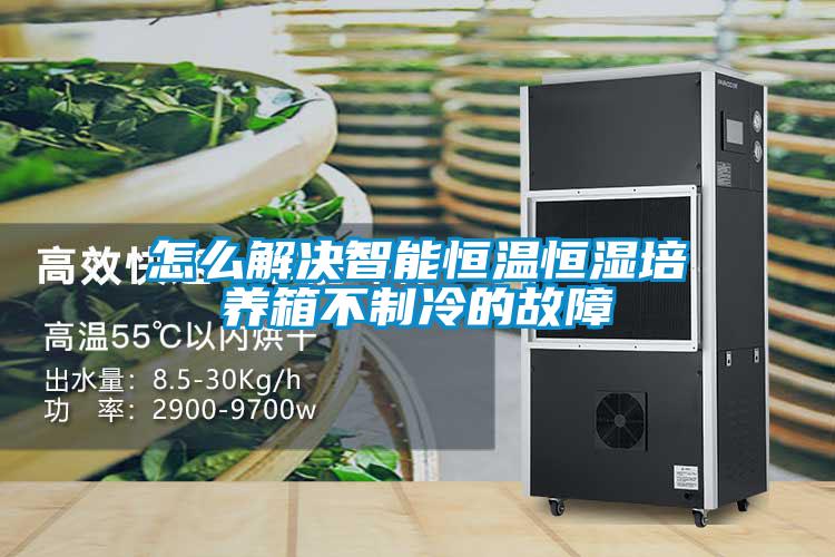 怎么解決智能恒溫恒濕培養箱不制冷的故障