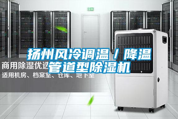 揚州風冷調溫／降溫管道型除濕機