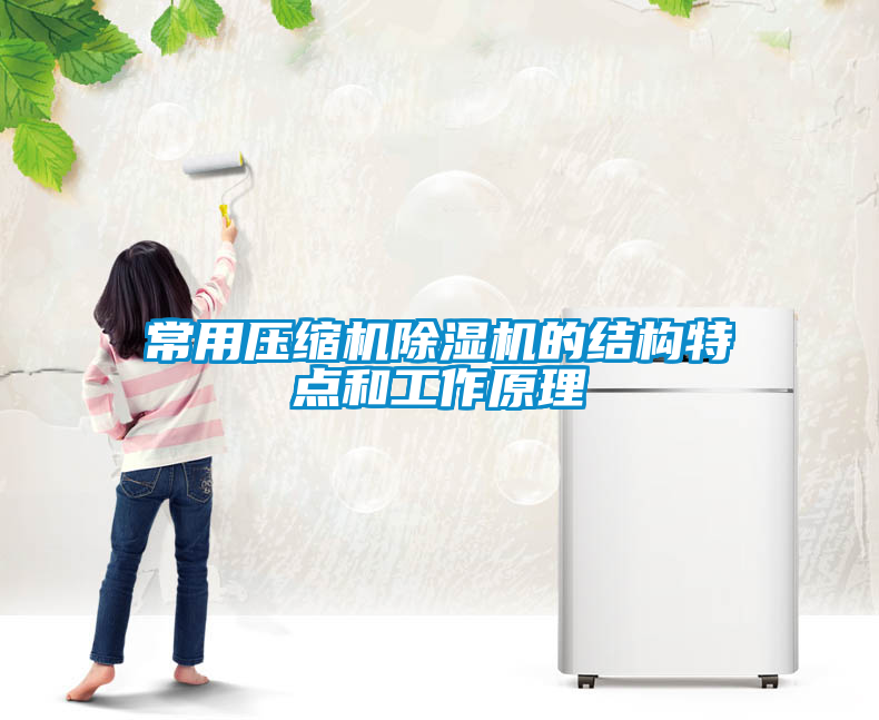 常用壓縮機除濕機的結構特點和工作原理