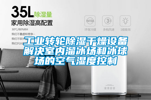 工業轉輪除濕干燥設備解決室內溜冰場和冰球場的空氣濕度控制