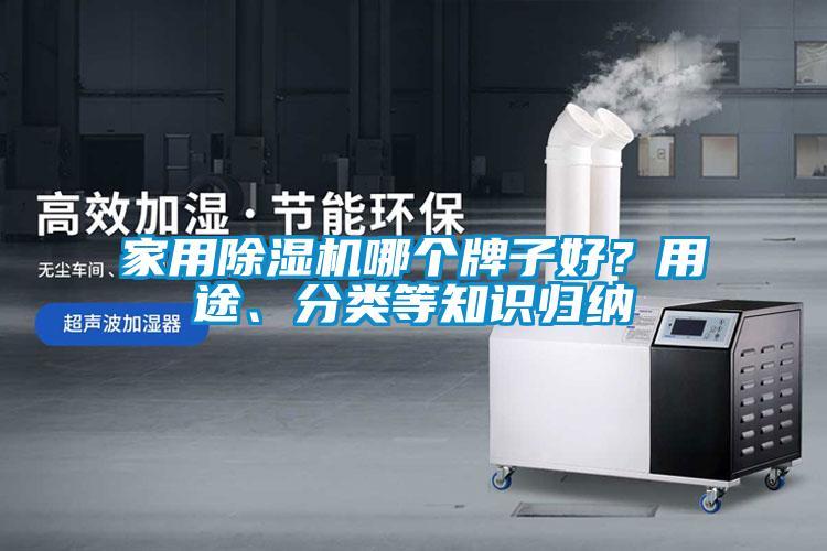家用除濕機哪個牌子好？用途、分類等知識歸納