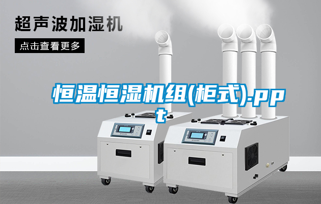 恒溫恒濕機組(柜式).ppt