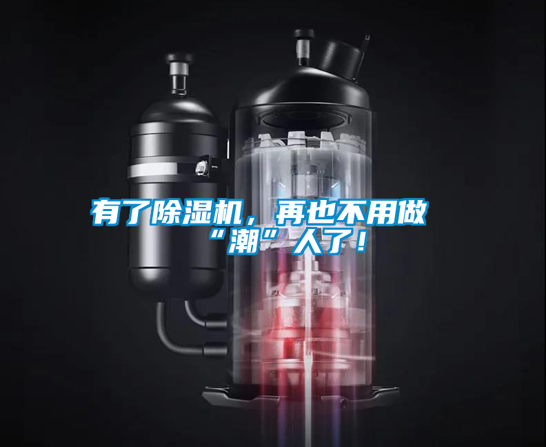 有了除濕機，再也不用做“潮”人了！