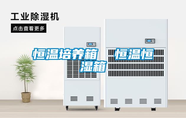 恒溫培養箱  恒溫恒濕箱