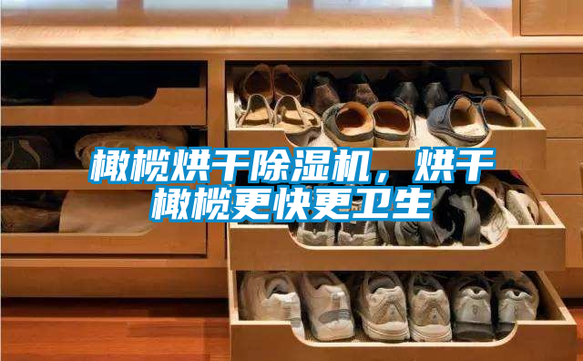 橄欖烘干除濕機(jī)，烘干橄欖更快更衛(wèi)生