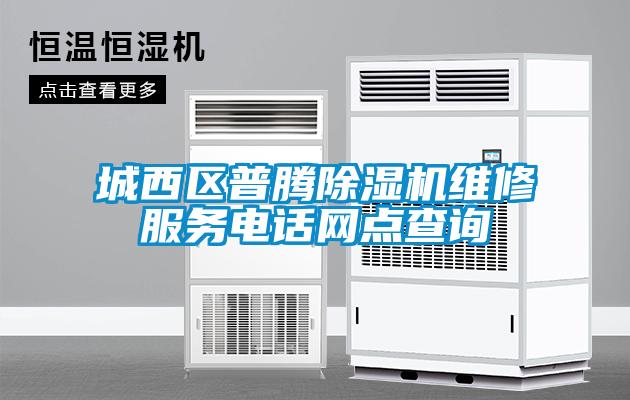 城西區(qū)普騰除濕機(jī)維修服務(wù)電話網(wǎng)點(diǎn)查詢