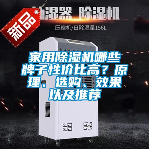 家用除濕機(jī)哪些牌子性價(jià)比高？原理、選購、效果以及推薦