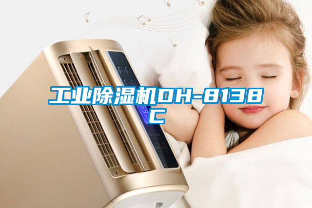 工業除濕機DH-8138C