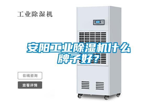 安陽工業除濕機什么牌子好？