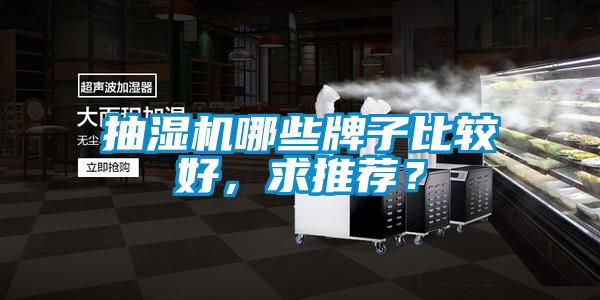 抽濕機哪些牌子比較好，求推薦？