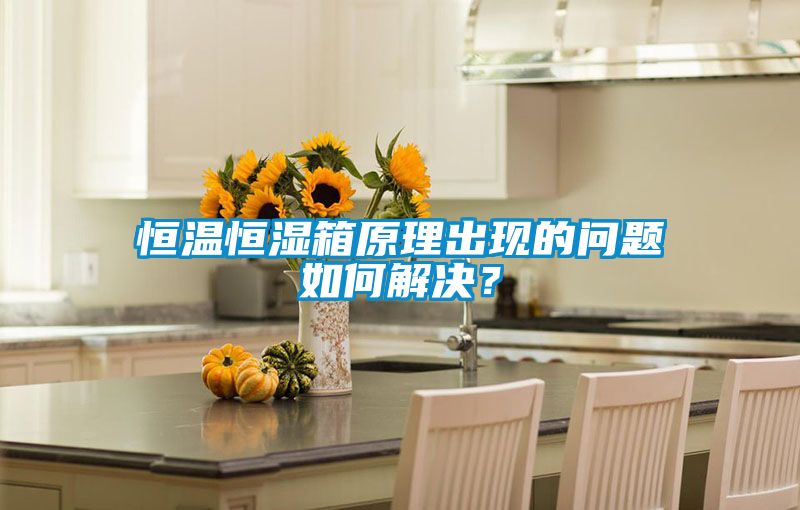 恒溫恒濕箱原理出現(xiàn)的問題如何解決？