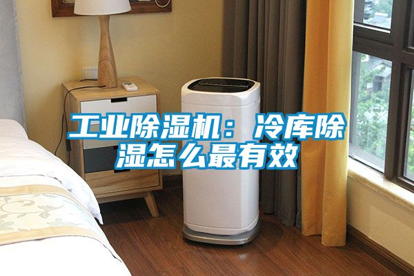 工業(yè)除濕機(jī)：冷庫除濕怎么最有效