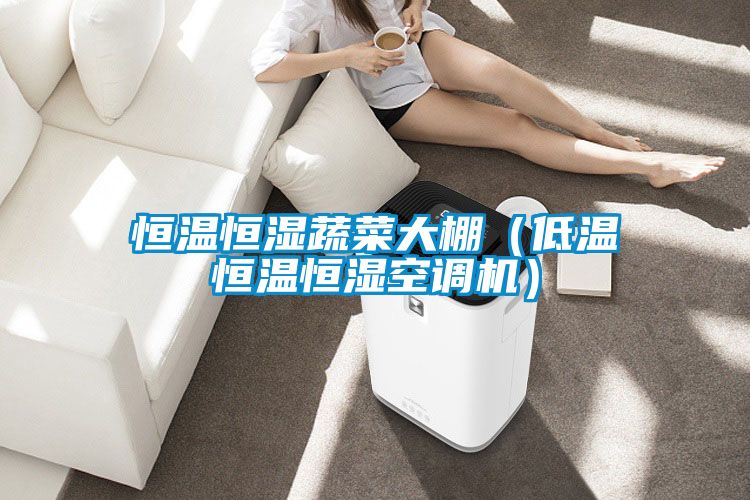 恒溫恒濕蔬菜大棚（低溫恒溫恒濕空調(diào)機(jī)）