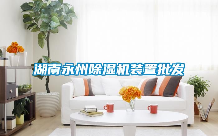 湖南永州除濕機(jī)裝置批發(fā)