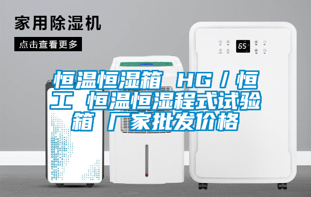 恒溫恒濕箱 HG／恒工 恒溫恒濕程式試驗箱 廠家批發價格