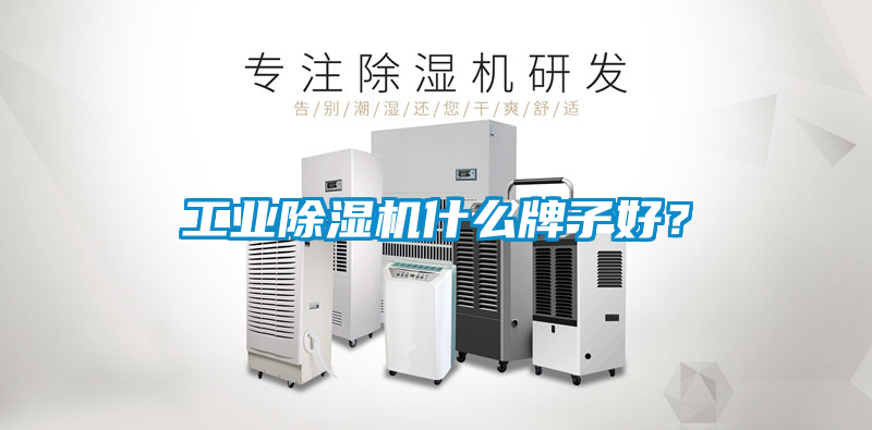工業(yè)除濕機(jī)什么牌子好？
