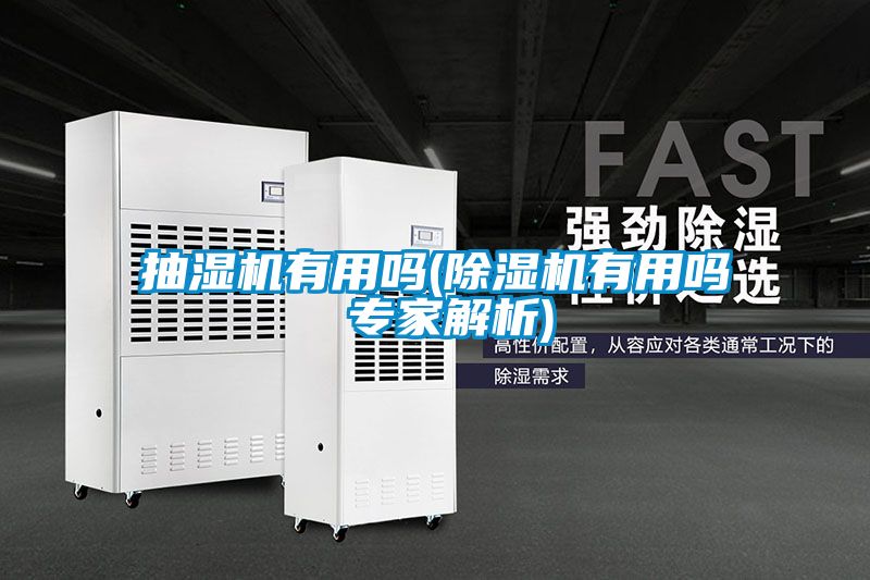 抽濕機(jī)有用嗎(除濕機(jī)有用嗎 專家解析)