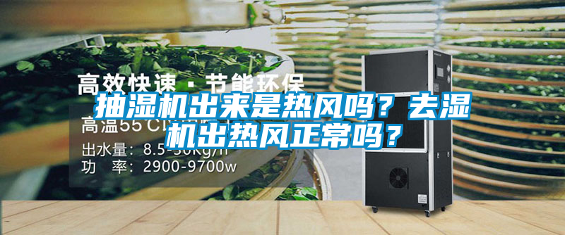 抽濕機出來是熱風嗎？去濕機出熱風正常嗎？