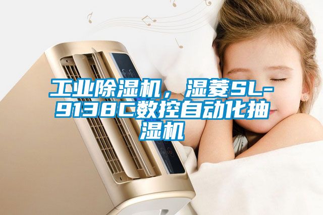工業(yè)除濕機，濕菱SL-9138C數(shù)控自動化抽濕機