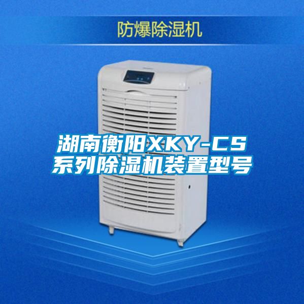 湖南衡陽XKY-CS系列除濕機(jī)裝置型號(hào)