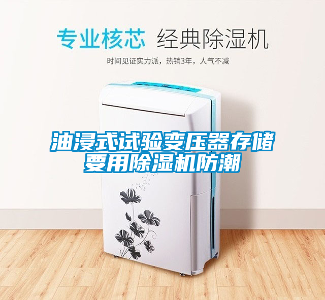油浸式試驗變壓器存儲要用除濕機防潮