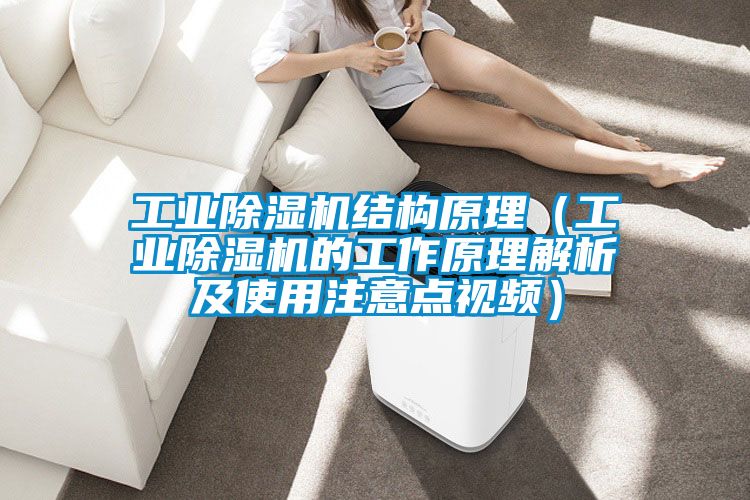 工業(yè)除濕機(jī)結(jié)構(gòu)原理（工業(yè)除濕機(jī)的工作原理解析及使用注意點(diǎn)視頻）
