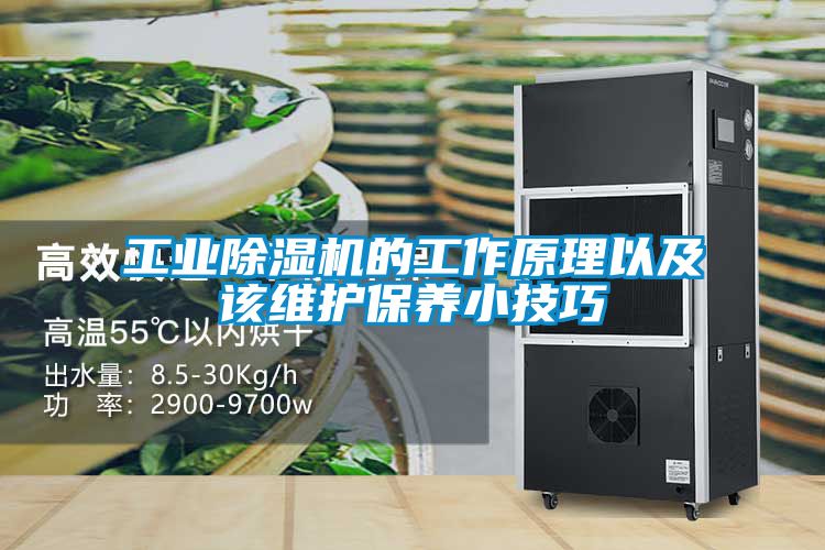 工業除濕機的工作原理以及該維護保養小技巧