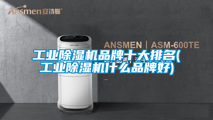 工業除濕機品牌十大排名(工業除濕機什么品牌好)