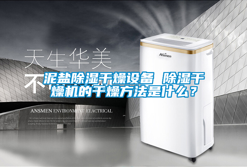 泥鹽除濕干燥設備 除濕干燥機的干燥方法是什么？