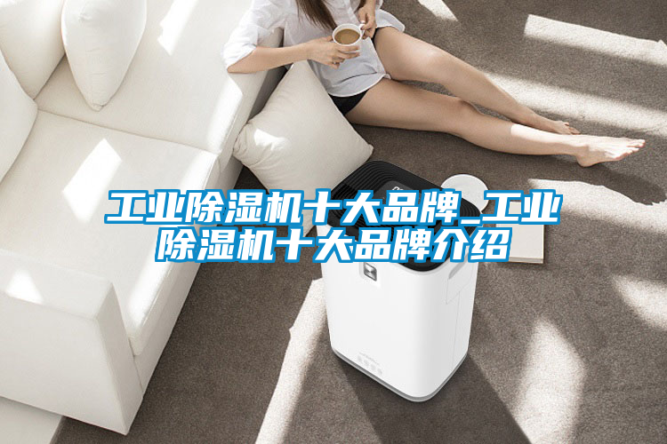 工業除濕機十大品牌_工業除濕機十大品牌介紹