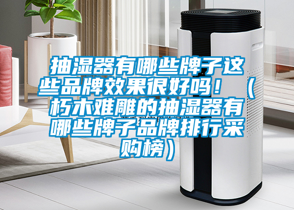 抽濕器有哪些牌子這些品牌效果很好嗎！（朽木難雕的抽濕器有哪些牌子品牌排行采購(gòu)榜）