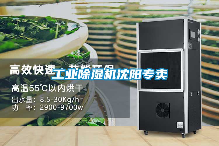 工業(yè)除濕機(jī)沈陽(yáng)專(zhuān)賣(mài)