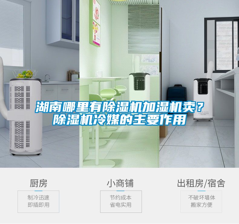 湖南哪里有除濕機加濕機賣？除濕機冷媒的主要作用