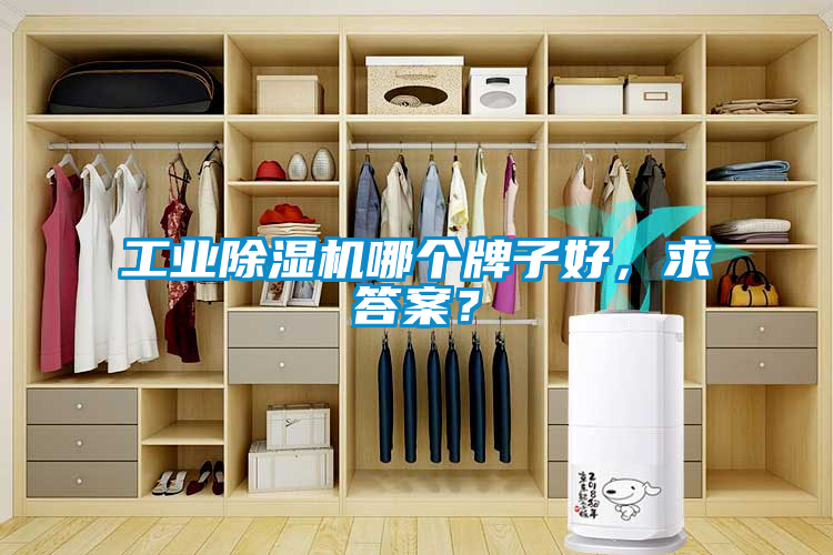 工業除濕機哪個牌子好，求答案？