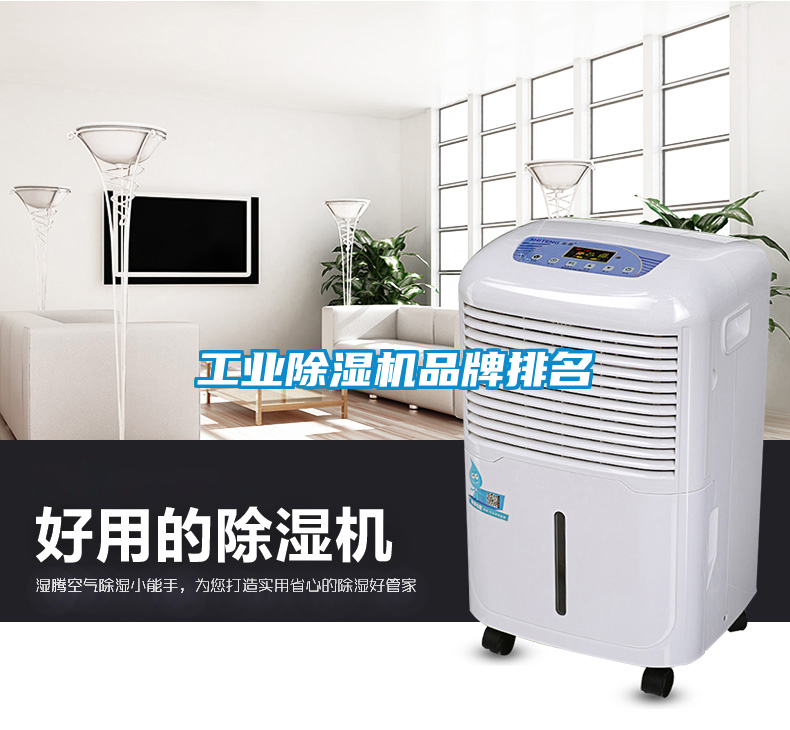 工業除濕機品牌排名