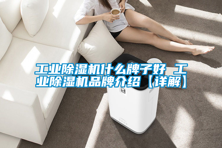 工業除濕機什么牌子好 工業除濕機品牌介紹【詳解】