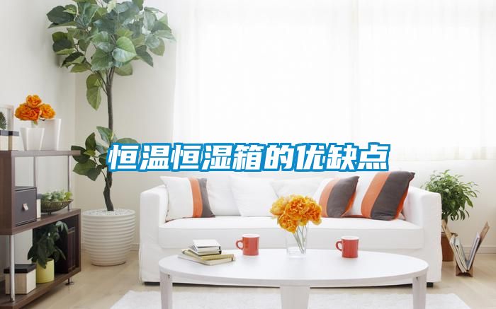 恒溫恒濕箱的優缺點