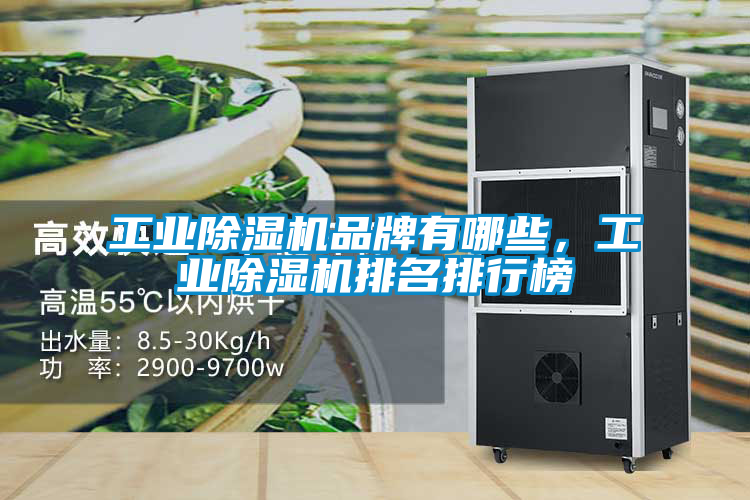 工業除濕機品牌有哪些，工業除濕機排名排行榜