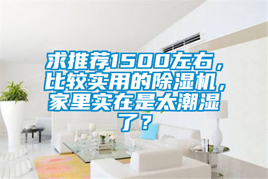 求推薦1500左右，比較實用的除濕機，家里實在是太潮濕了？