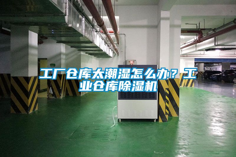 工廠倉庫太潮濕怎么辦？工業倉庫除濕機