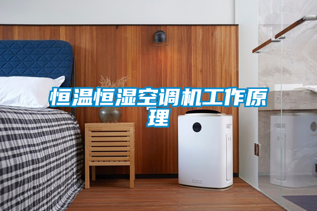 恒溫恒濕空調機工作原理