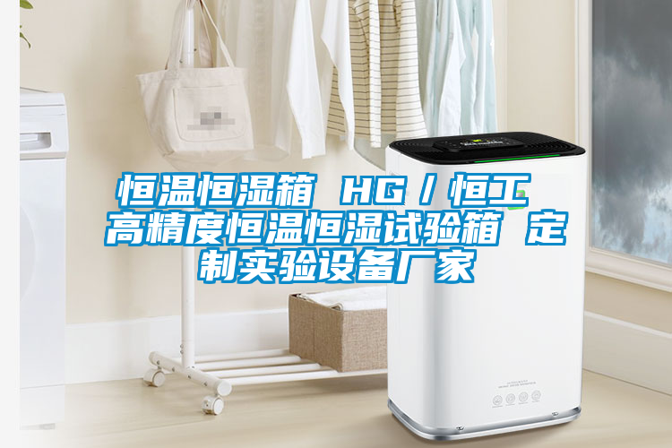 恒溫恒濕箱 HG／恒工 高精度恒溫恒濕試驗箱 定制實驗設備廠家