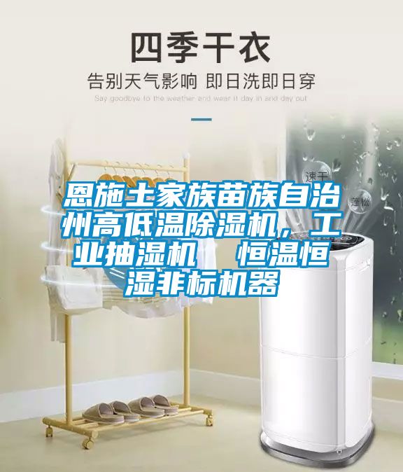 恩施土家族苗族自治州高低溫除濕機，工業抽濕機  恒溫恒濕非標機器
