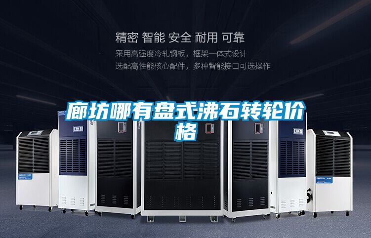 廊坊哪有盤式沸石轉輪價格