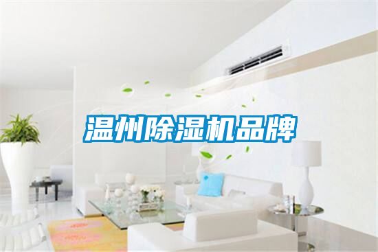 溫州除濕機品牌