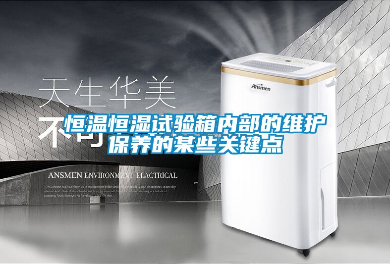 恒溫恒濕試驗箱內部的維護保養的某些關鍵點