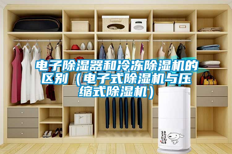 電子除濕器和冷凍除濕機的區(qū)別（電子式除濕機與壓縮式除濕機）