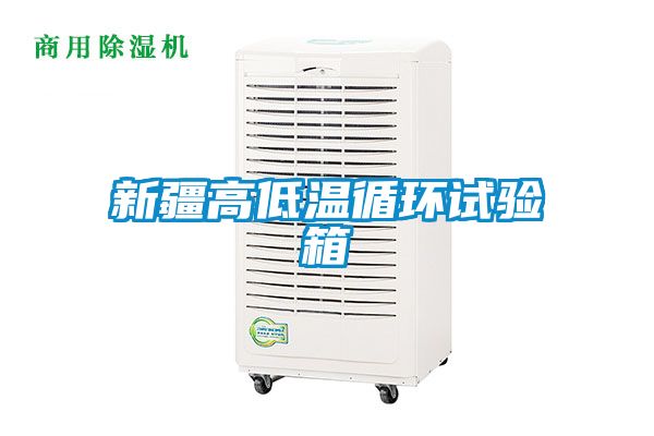 新疆高低溫循環試驗箱
