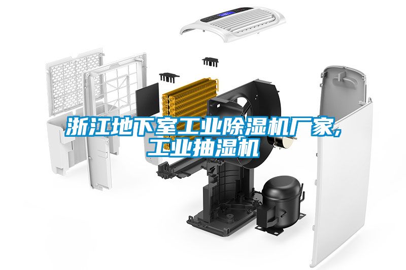 浙江地下室工業除濕機廠家,工業抽濕機