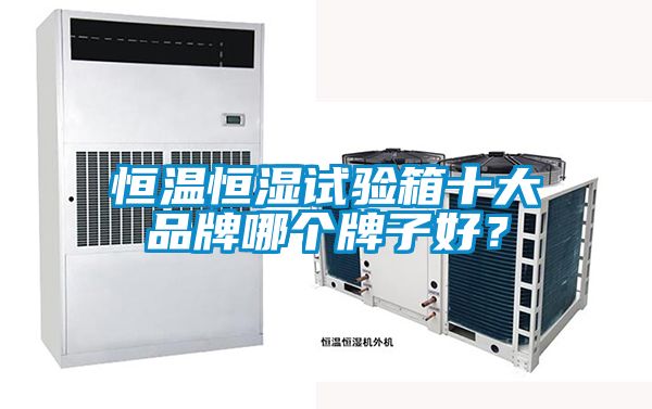 恒溫恒濕試驗箱十大品牌哪個牌子好？
